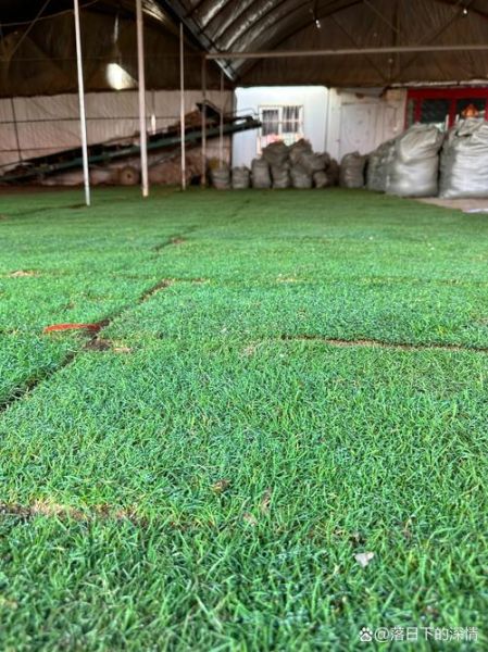 草坪多久浇一次水_草坪发黄怎么补救