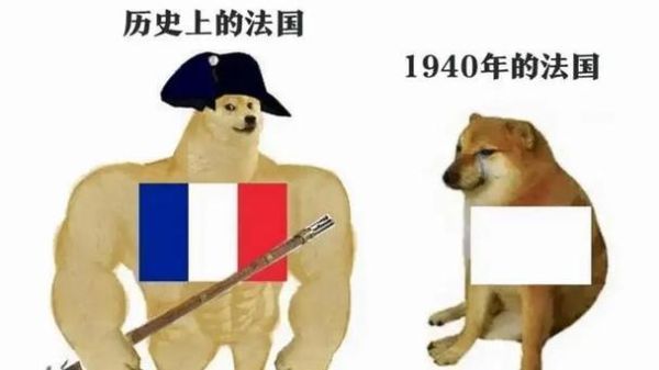 历史梗图片大全_哪些梗最经典