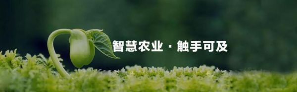 大连瑞蚨网络科技怎么样_瑞蚨SEO优化效果好吗
