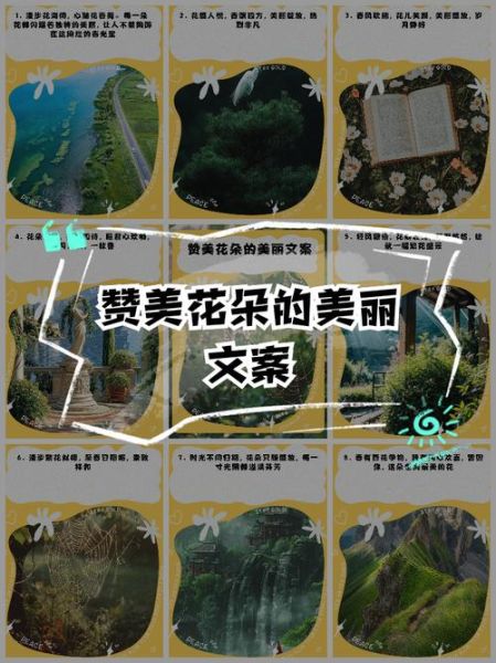 艺术的花朵怎么写文案_艺术的花朵文案范例