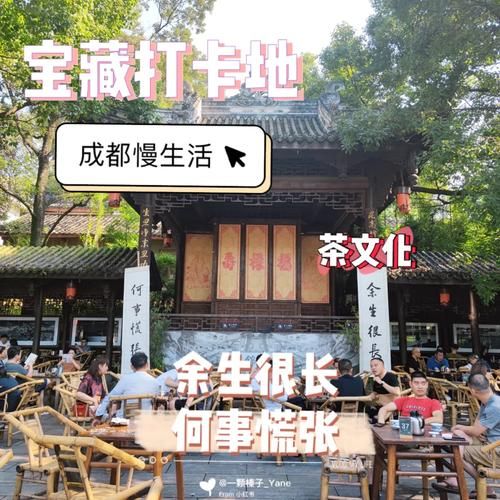 如何过慢生活_慢生活有什么好处