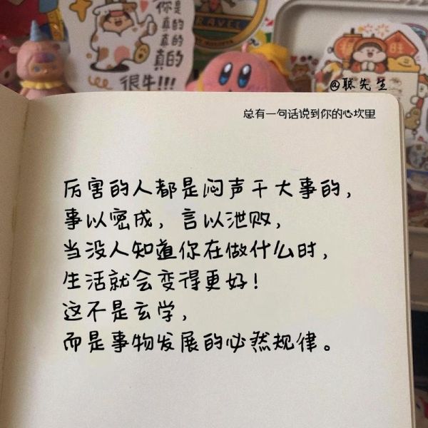 生活大爆炸励志语录有哪些_如何应用到职场