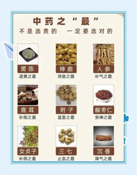 中药大全_中药功效与作用有哪些