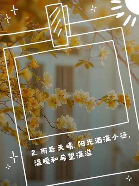 天晴文案生活怎么写_如何写出治愈感