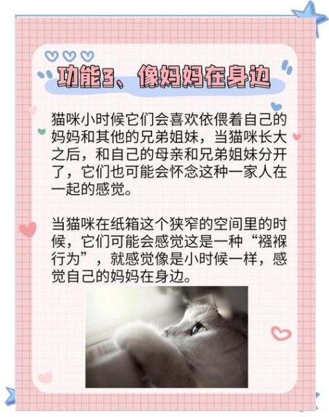 猫咪为什么爱睡纸箱_如何让猫远离纸箱