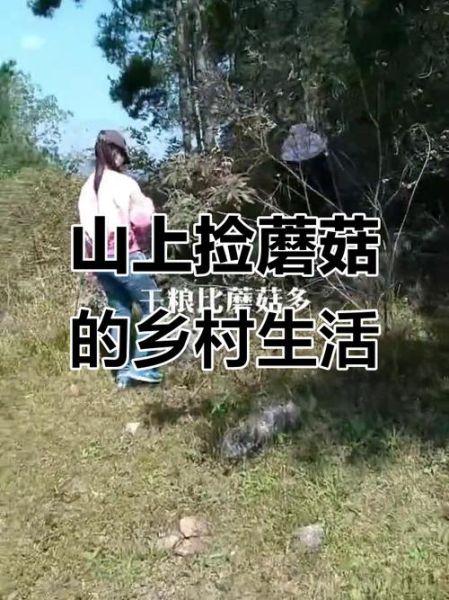 农村生活有哪些好处_农村生活怎么赚钱