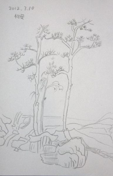 写生艺术是什么_写生艺术怎么入门