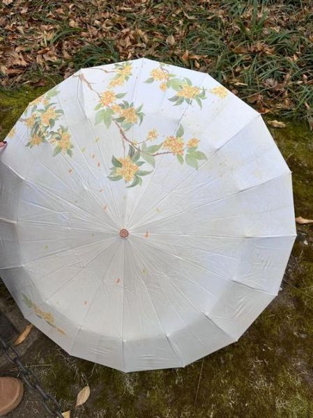 艺术活动雨伞怎么选_雨天拍照用什么伞好看