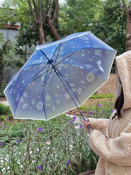 艺术活动雨伞怎么选_雨天拍照用什么伞好看