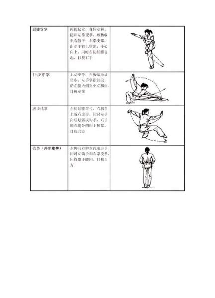 拳的艺术是什么_如何练习拳的艺术