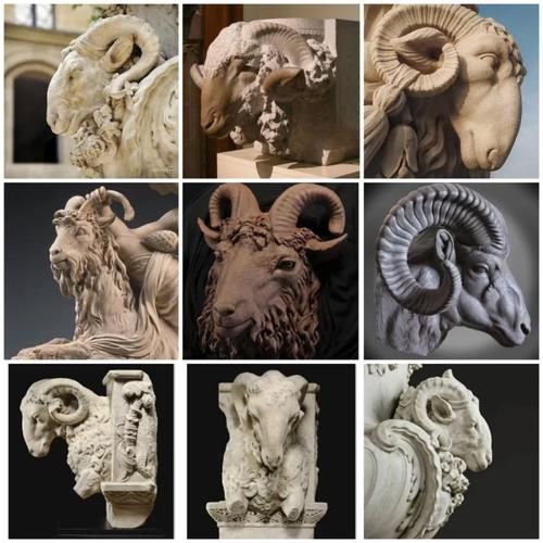 艺术棉羊是什么_艺术棉羊怎么选