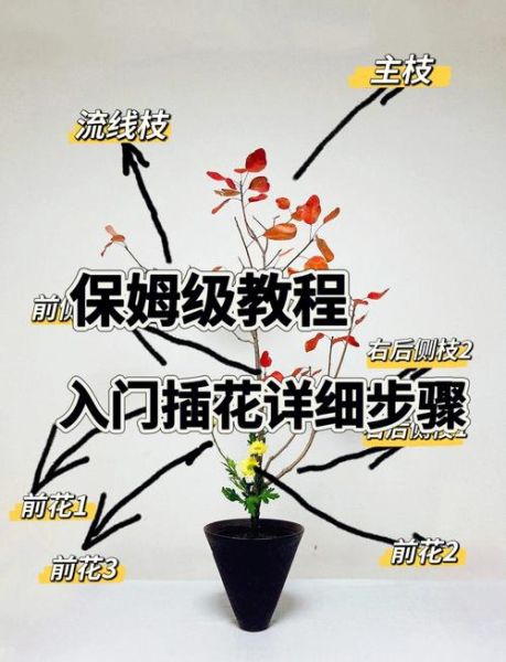 插花初学者需要准备什么工具_如何快速提升插花技巧