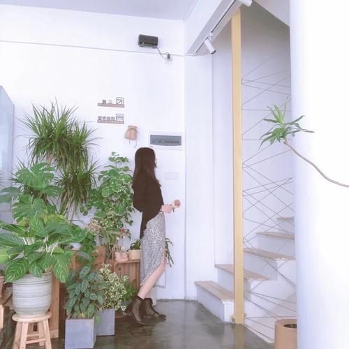 新生活探店值得去吗_有哪些隐藏福利