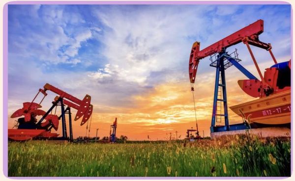 中国石化历史大全_中国石化是怎么发展起来的