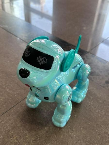 幼儿园科技产品有哪些_如何挑选适合孩子的智能设备