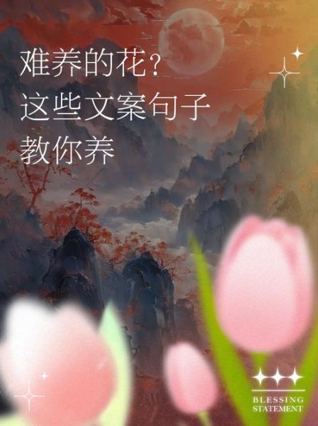 生活文案花花怎么写_生活文案花花写作技巧