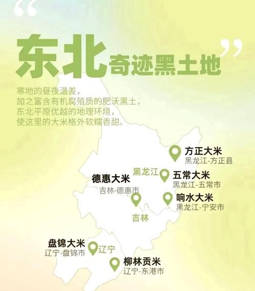 大米起源哪里_大米何时传入中国