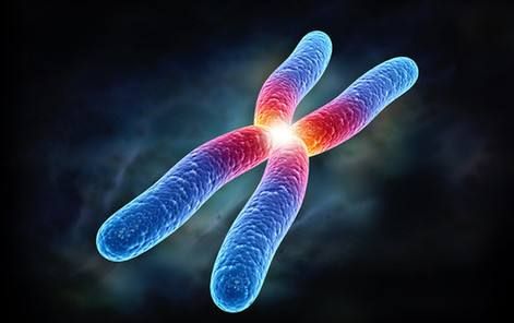 艾丽莎基因科技产品好吗_真实体验与价格解析