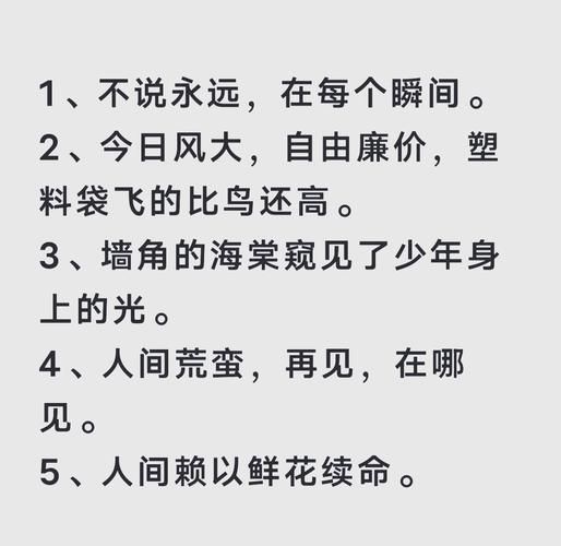 如何写出小众文案_小众文案怎么变现