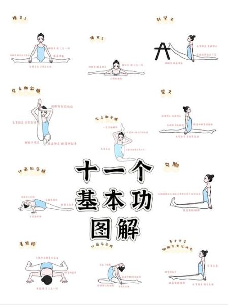 老年舞蹈艺术适合学什么舞_零基础如何开始