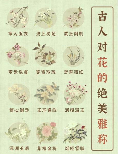 古代禁花有哪些_为何被禁