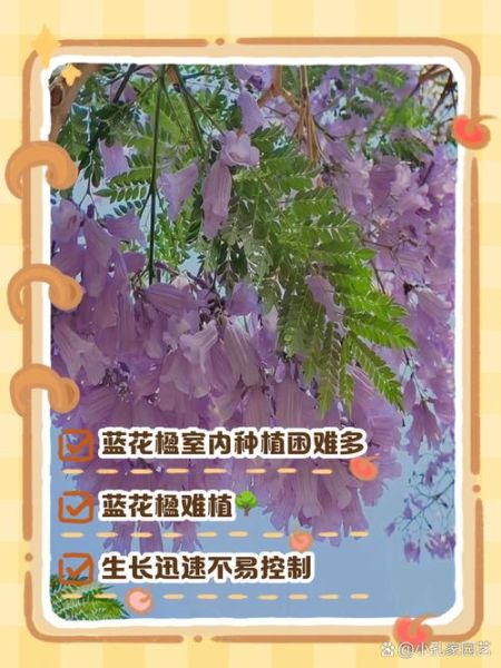 古代禁花有哪些_为何被禁