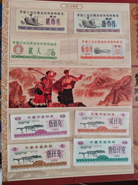 粮票历史大全_粮票收藏价值如何评估