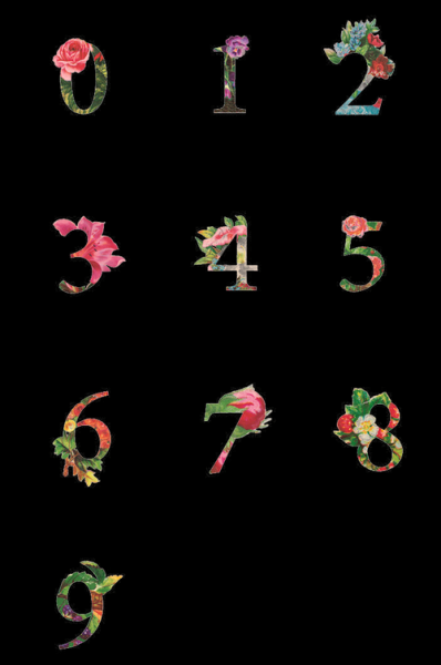 数字插花艺术是什么_如何入门数字插花