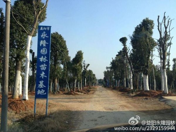 莱西永隆科技怎么样_永隆科技产品有哪些