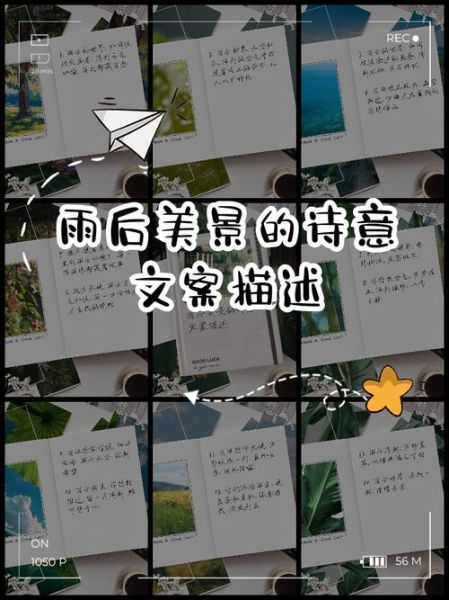 雨后艺术文案怎么写_雨后艺术文案适合哪些场景