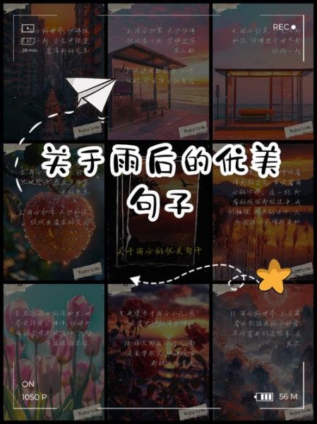 雨后艺术文案怎么写_雨后艺术文案适合哪些场景