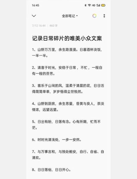 如何记录生活的美好_日常文案怎么写