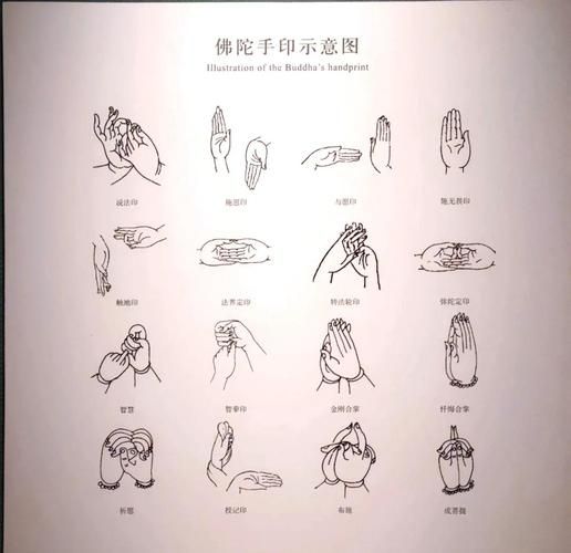 印度佛教历史大全_佛陀生平与教义演变