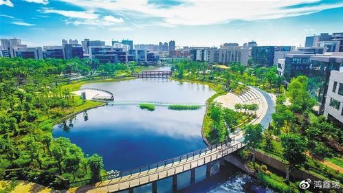 海南鸿翊科技怎么样_海南鸿翊科技有哪些产品