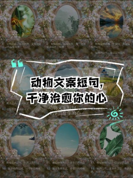 动物艺术文案怎么写_动物艺术文案有哪些风格