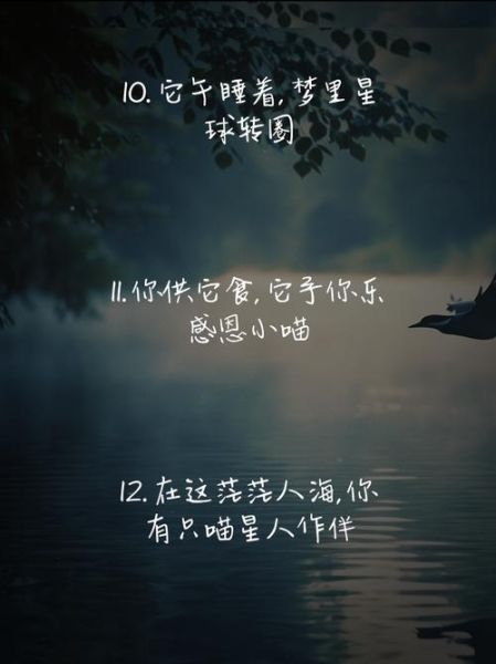 动物艺术文案怎么写_动物艺术文案有哪些风格