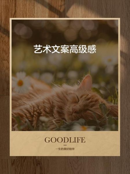 高尚艺术文案怎么写_高尚艺术文案有哪些技巧