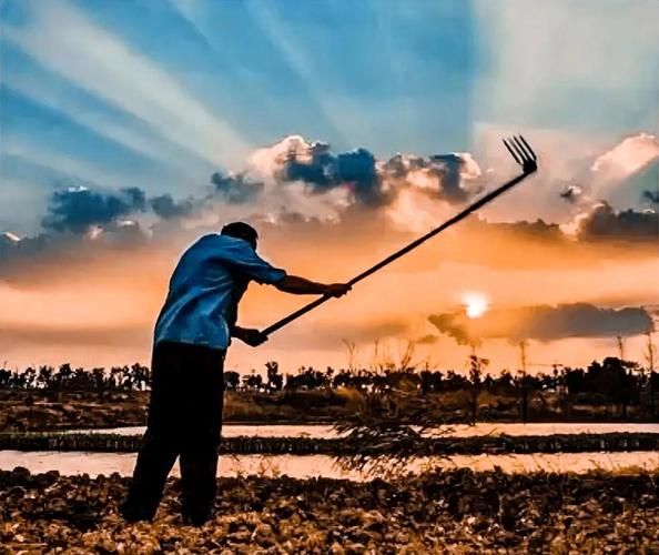 农民一天怎么过_农民日常生活有哪些