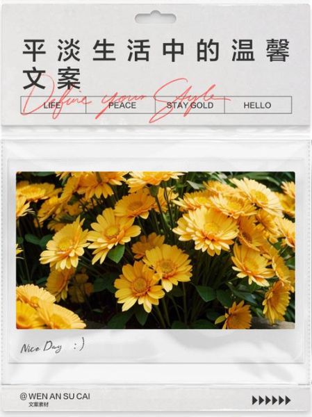 日子平淡怎么过_平淡生活文案怎么写