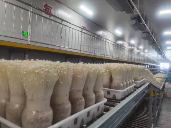 河南农联生物科技怎么样_河南农联生物科技产品有哪些