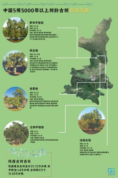 历史老树图片大全_如何辨别古树年龄