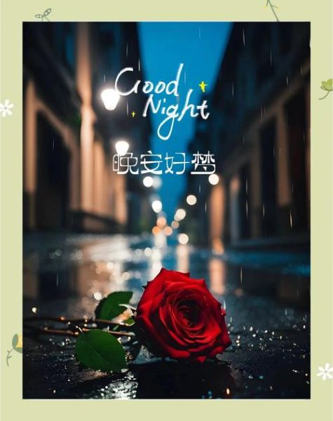 如何优雅说晚安_晚安的艺术文案怎么写
