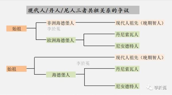人类历史种族大全_如何区分不同种族