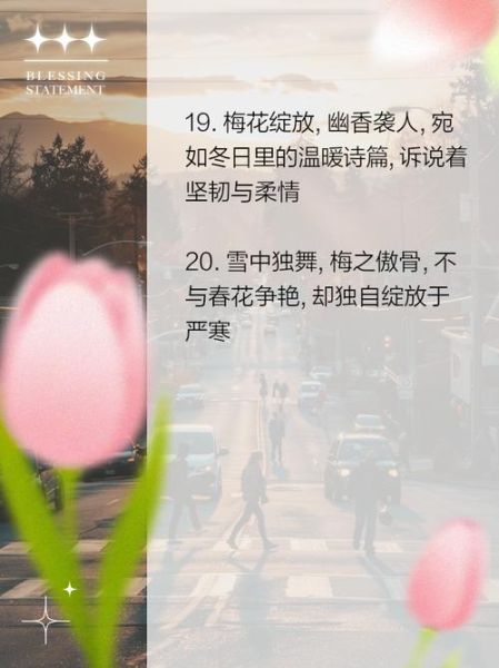 话梅艺术文案怎么写_话梅文案如何打动人心