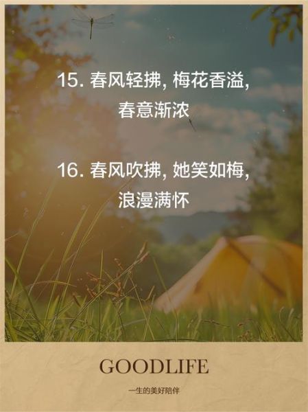 话梅艺术文案怎么写_话梅文案如何打动人心