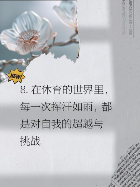 体育艺术文案怎么写_体育艺术文案范例