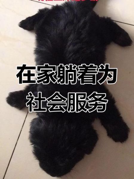 疫情在家怎么找乐子_居家防疫有哪些创意玩法