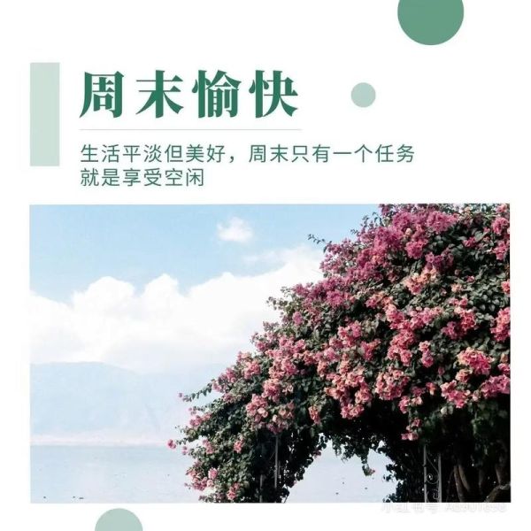 生活总是匆匆忙忙怎么办_如何慢下来