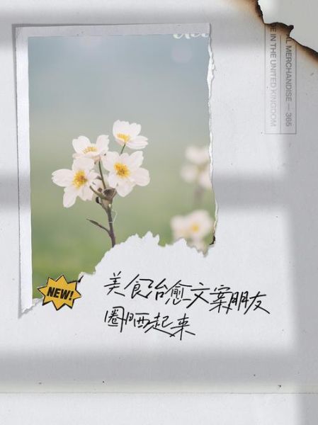 平凡生活文案怎么写_美食文案如何打动人心