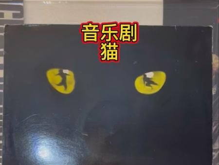 历史猫歌曲大全_有哪些经典必听